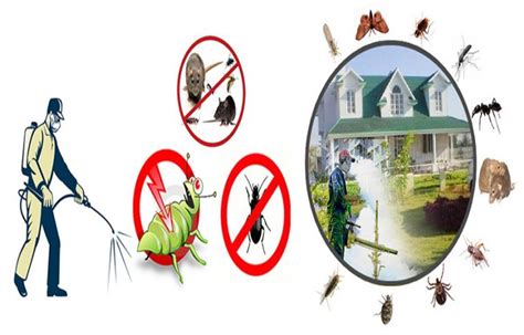 Did You Know About These Various Pest Control Methods