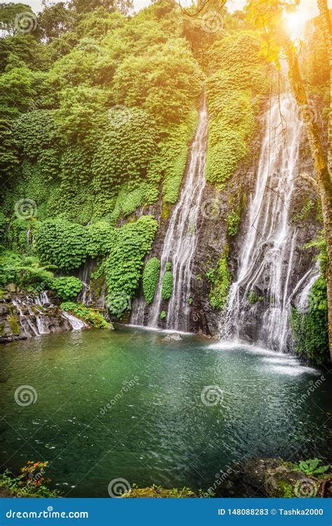 Banyumala Twin Waterfall In Bali Indonesia Stock Image Image Of