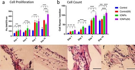 A A Comparison Of Cell Proliferation Of Mg 63 Cells When Cultured