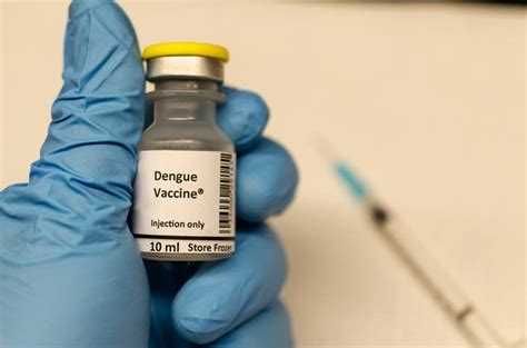 Anvisa Vacina Da Dengue Contraindicada A Quem Nunca Teve A Doen A