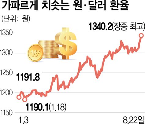 1400원도 위험하다폭주 환율에 한국경제 비명 서울경제