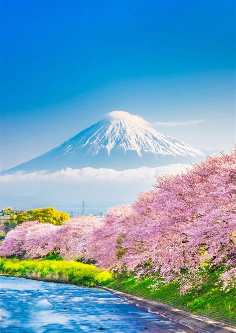 Top Concerts to Look Forward to in Montreal 2025