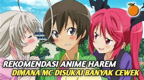 3 Anime Harem Dimana Tokoh Utama Dikelilingi Banyak Cewek Cantik