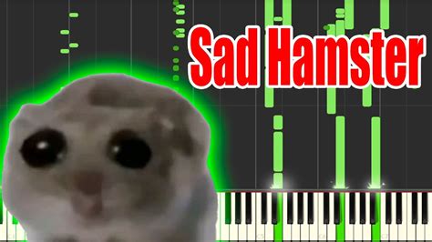 Sad Hamster But It S MIDI Auditory Illusion Sad Hamster Piano Sound