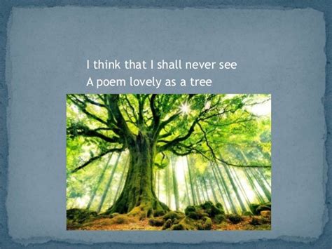 Trees By Joyce Kilmer