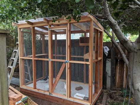 10 Outdoor Walk In Aviary Ideas And Diy Plans