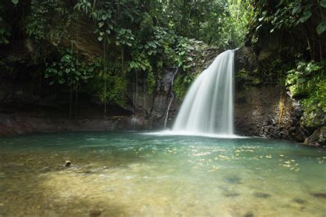 Petit Bourg Guadeloupe Saut De La Lezarde