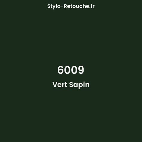 RAL 6009 Vert Sapin Opaque En Stylo Retouche Stylo Retouche Fr