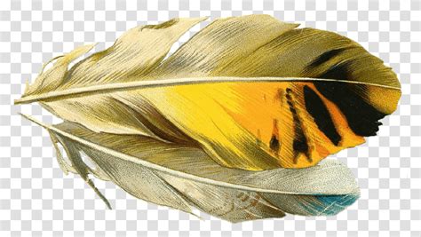 Golden Leaves Png Gold Leaf Png Images Pngwing Illustration Wester