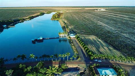 Confira Como Est O Os Preparativos Na Fazenda Jaqueline Em Vilhena Ro