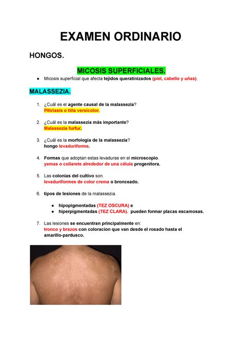 Repaso Ordi Micro Examen Ordinario Hongos Micosis Superficiales