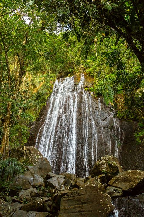 Discover The Beauty Of El Yunque Rainforest The Largest Nature Reserve