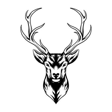 Deer Head Logo Vector Art At Vecteezy