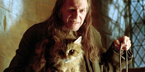 Is Filch Evil A Deleted Harry Potter Scene Says No