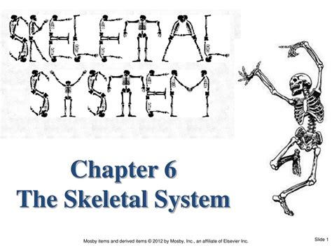 Ppt Chapter 6 The Skeletal System Powerpoint Presentation Free