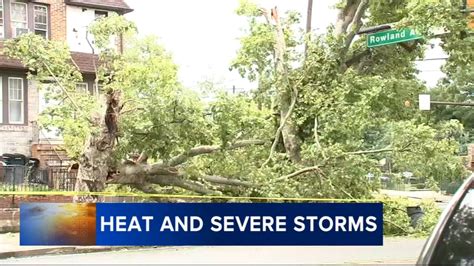 Heavy Rain Strong Winds Bring Down Trees In Philadelphia Middletown Township Pa And