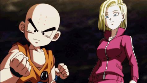 Dragon Ball Z Super  Android 18 And Krillin In 2021 Anime Dragon Ball Super Dragon Ball