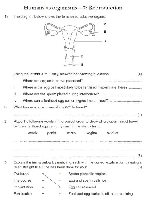 Reproduction Worksheet