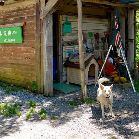 けらえいこさんのインスタグラム写真 けらえいこinstagram「マナスル山荘のワンコは人恋しそうにしてるけど、子供は苦手そう🙈」8月