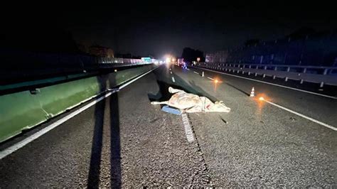 Incidente Tra La Polizia E Una Mucca Sulla Tangenziale Di Torino