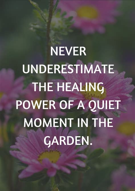 Gardening Quotes Garden Quotes Annuals Vs Perennials Quiet Moments