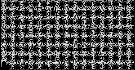 Maze GIFs - Find & Share on GIPHY