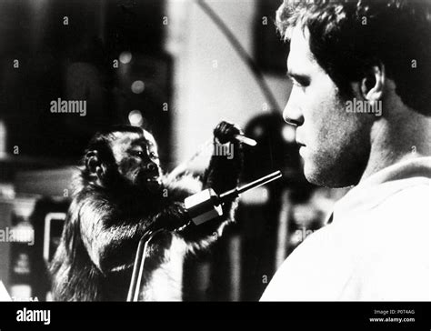 Original Film Title: MONKEY SHINES. English Title: MONKEY SHINES. Film ...