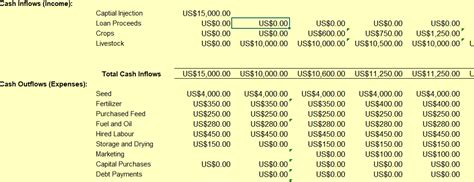 Business 5 Year Cash Flow Project Eunoia Consultants