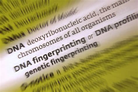 Dna Dna Fingerprinting Stock Photo Image Of Test