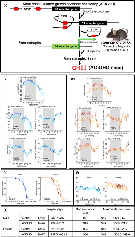 Effects Of Adultonset Isolated Growth Hormone Deficiency Aoighd On