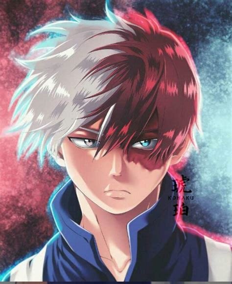 Quien daña estas al sagrado todoroki Boku no Memes Academia Oficial Amino