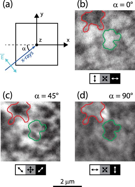 Figure From Direct Observation Of Temperature Dependent Magnetic