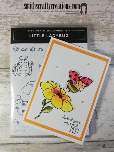 Ladybug Handmade Card Idea