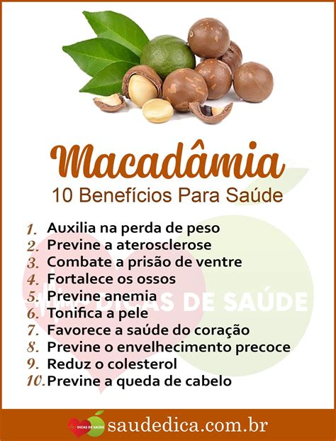 Os Benef Cios Da Macad Mia Para Sa De Macad Mia