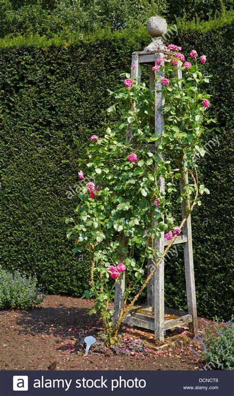 Diy Rose Trellis Arch - Rose Trellis: Jardin Rose Arch | Gardener's ...