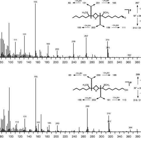 Ei Mass Spectra 70 Ev Of A A Thietane Stereoisomer Of The Dimethyl Download Scientific