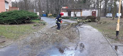 Usuwanie skutków silnego wiatru w Szczecinie Komenda Miejska