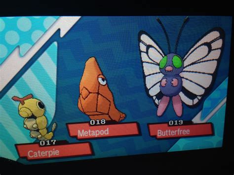 Shiny Metapod