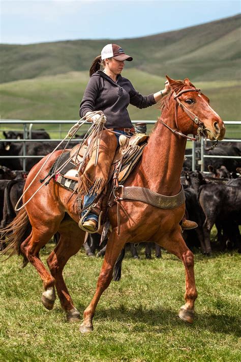 wyoming cowgirls Google keresés Rodeo life Horse love Real cowgirl