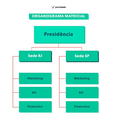 Organograma Para Que Serve Librain