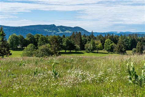 Vom Val De Travers Nach La Br Vine Wanderung Ins Sibirien Der Schweiz