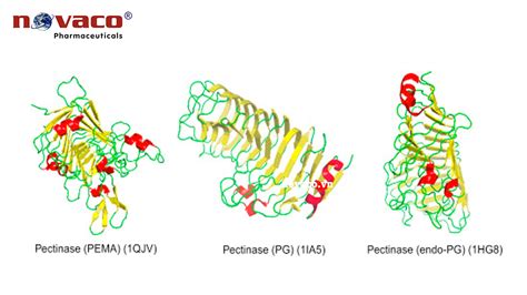 Pectinase Ui G