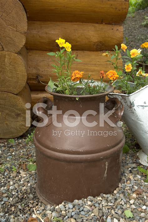 Milk Jug With Flowers Stock Photo | Royalty-Free | FreeImages