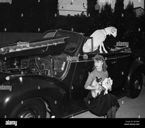 June Havoc 1942 Stock Photo Alamy