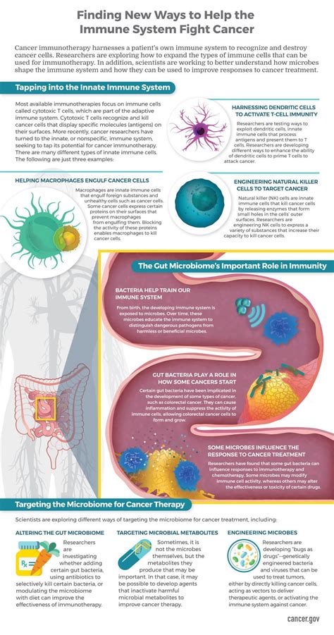 The Connection Between A Healthy Immune System And Preventing Cancer