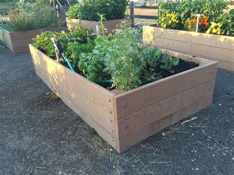 Composite raised beds at our local community garden | Raised garden ...