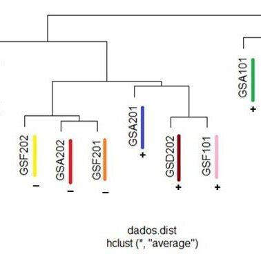 Dendrogram Of The Hierarchical Cluster Analysis Ward Of Cave