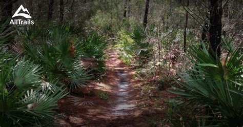 Best Trails near Wimauma, Florida | AllTrails.com