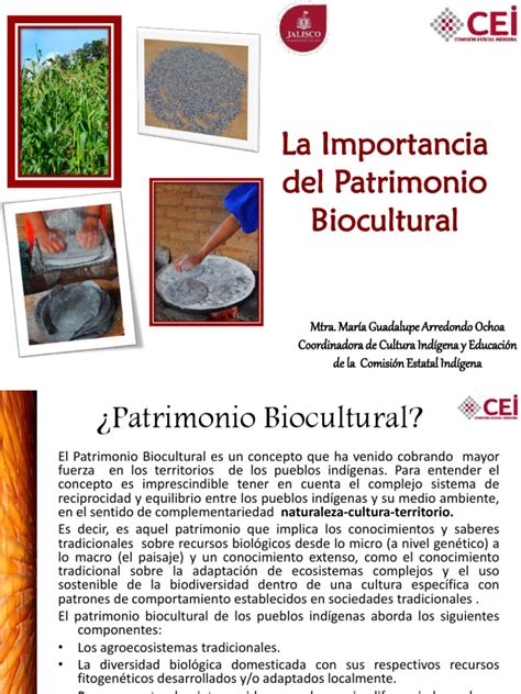 La Importancia Del Patrimonio Biocultural Pdf Biodiversidad