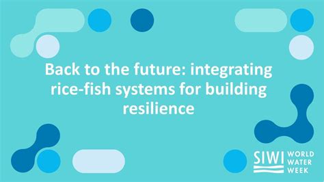 Back To The Future Integrating Rice Fish Systems For Building